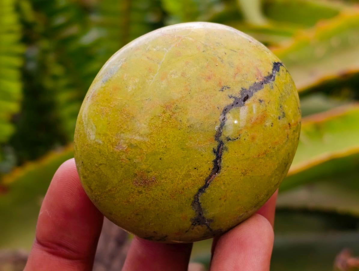 Polished Green Opal Galets x 12 From Betroka, Madagascar