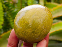 Polished Green Opal Galets x 12 From Betroka, Madagascar