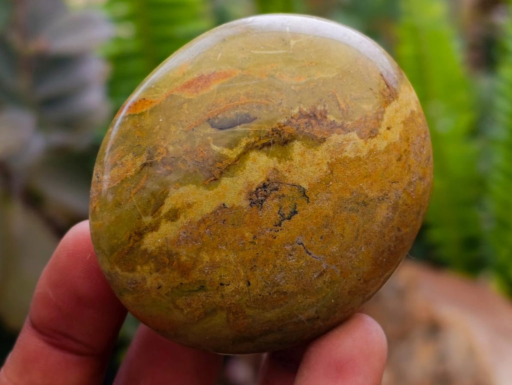 Polished Green Opal Galets x 12 From Betroka, Madagascar