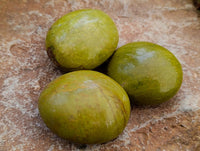 Polished Green Opal Galets x 12 From Betroka, Madagascar