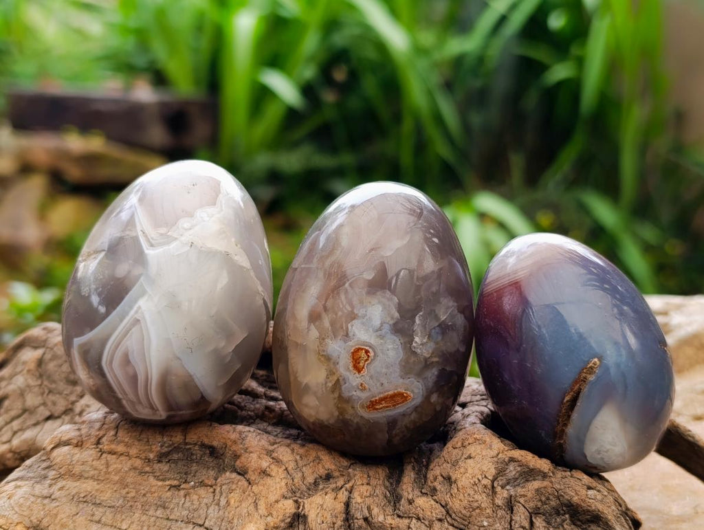 Polished Red Shashe River Agate Eggs x 12 From Shashe River, Zimbabwe