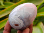 Polished Red Shashe River Agate Eggs x 12 From Shashe River, Zimbabwe