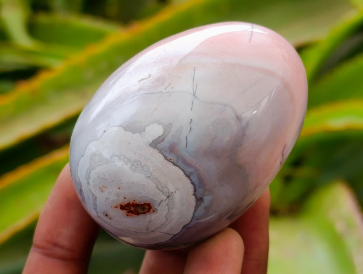 Polished Red Shashe River Agate Eggs x 12 From Shashe River, Zimbabwe