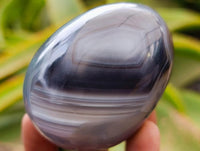 Polished Red Shashe River Agate Eggs x 12 From Shashe River, Zimbabwe