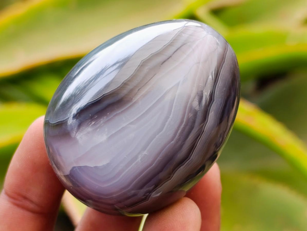 Polished Red Shashe River Agate Eggs x 12 From Shashe River, Zimbabwe