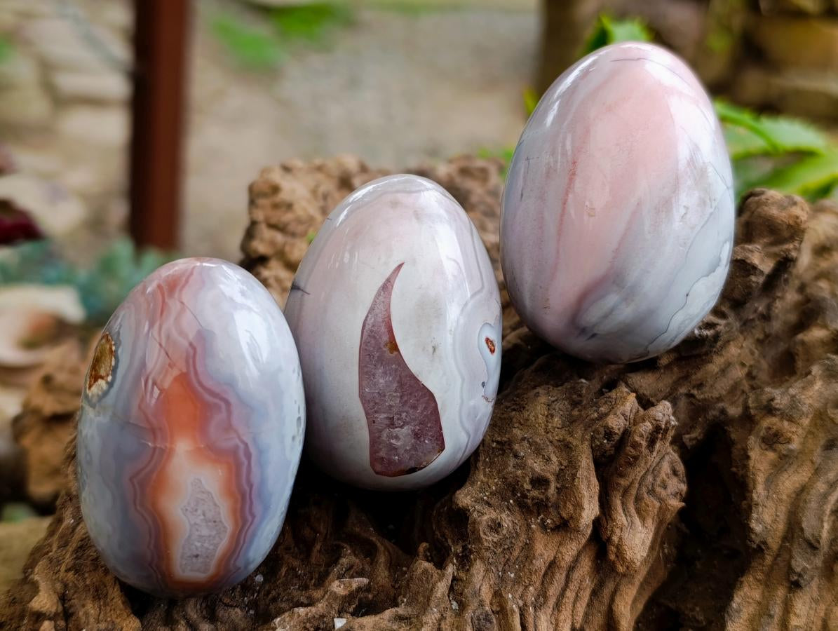 Polished Red Shashe River Agate Eggs x 12 From Shashe River, Zimbabwe