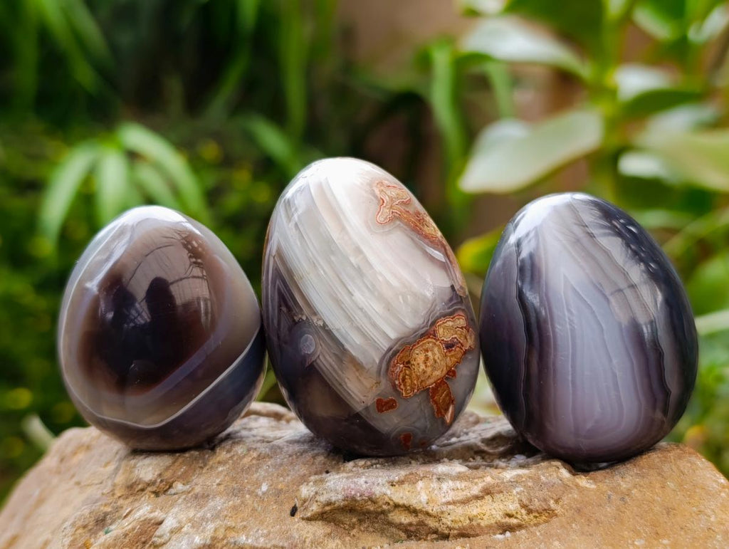 Polished Red Shashe River Agate Eggs x 12 From Shashe River, Zimbabwe