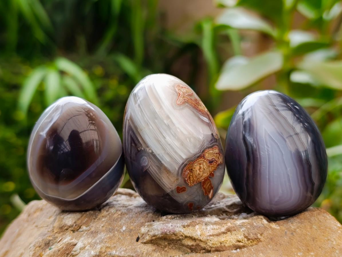 Polished Red Shashe River Agate Eggs x 12 From Shashe River, Zimbabwe