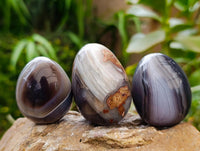 Polished Red Shashe River Agate Eggs x 12 From Shashe River, Zimbabwe
