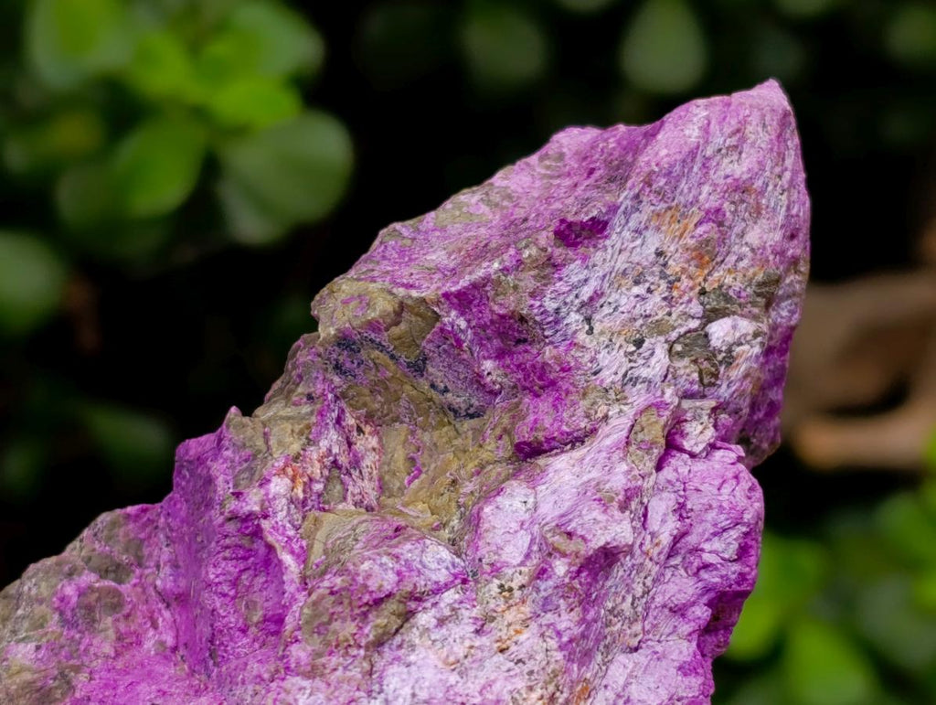 Natural Stichtite Cobbed Specimens x 4 From Barberton, South Africa