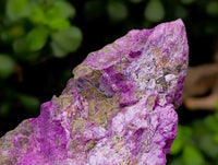 Natural Stichtite Cobbed Specimens x 4 From Barberton, South Africa