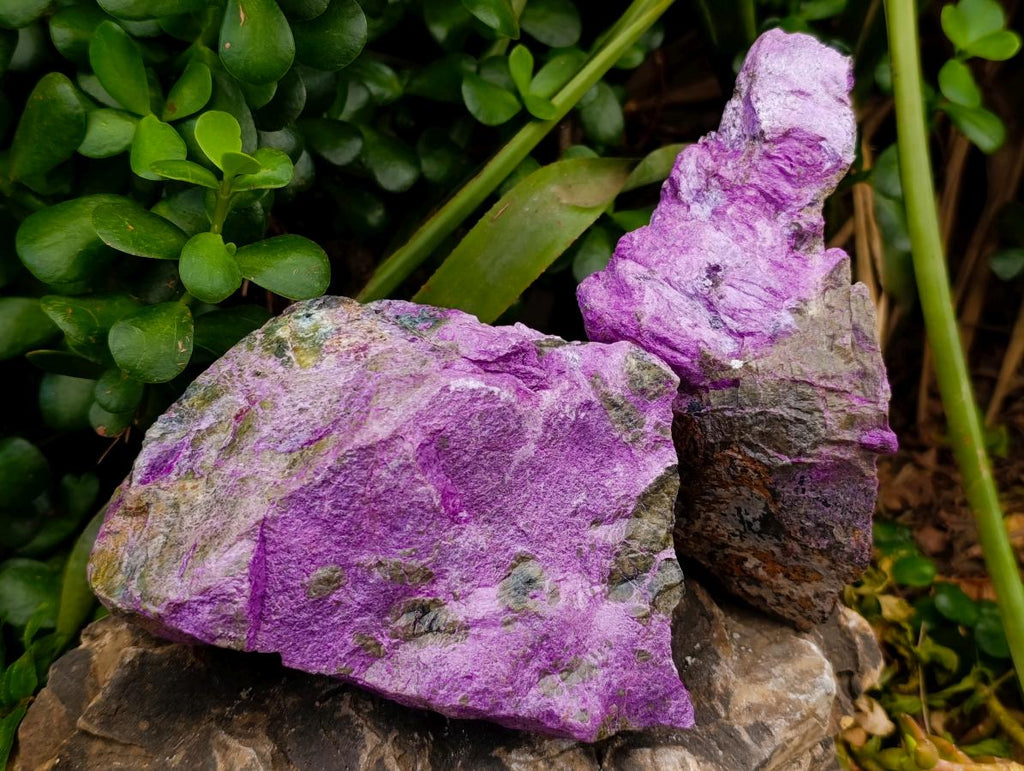 Natural Stichtite Cobbed Specimens x 4 From Barberton, South Africa