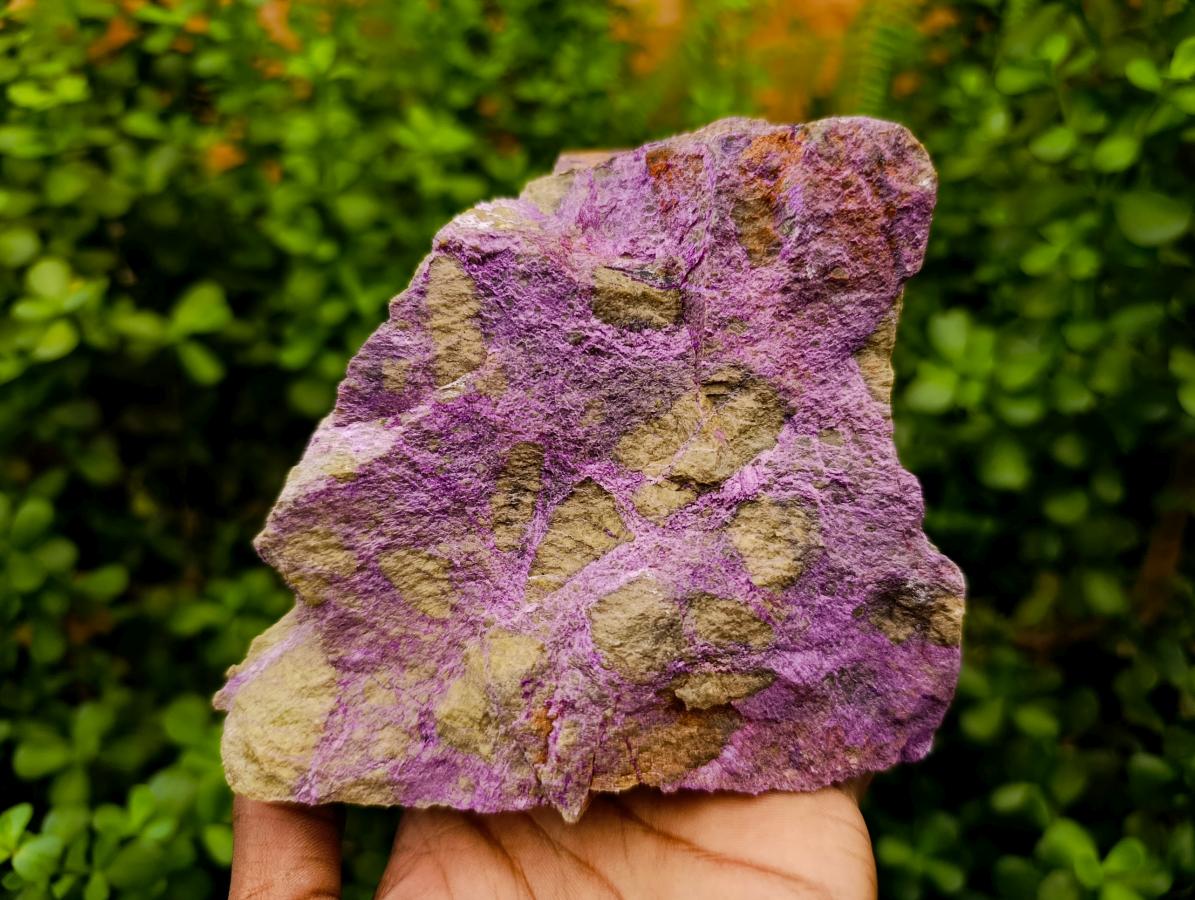 Natural Stichtite Cobbed Specimens x 4 From Barberton, South Africa