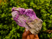 Natural Stichtite Cobbed Specimens x 4 From Barberton, South Africa