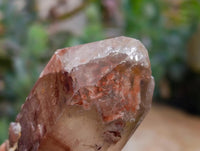 Natural Red Hematoid Quartz Crystal Clusters x 6 From Karoi, Zimbabwe