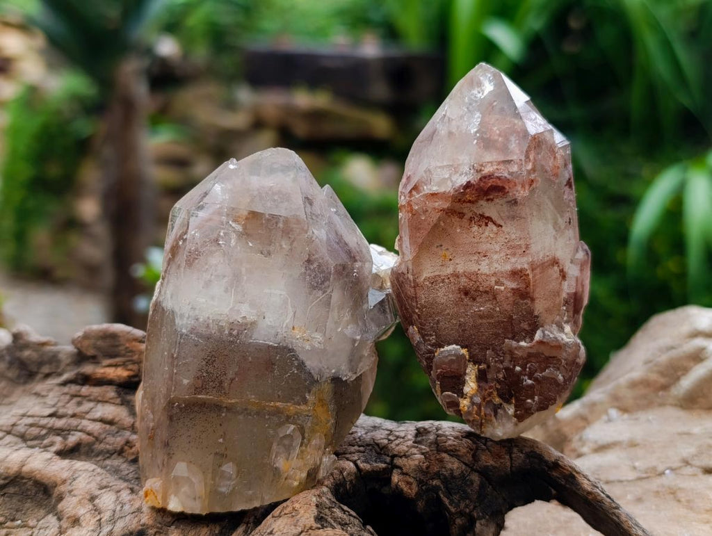 Natural Red Hematoid Quartz Crystal Clusters x 6 From Karoi, Zimbabwe