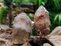 Natural Red Hematoid Quartz Crystal Clusters x 6 From Karoi, Zimbabwe