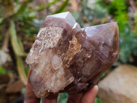 Natural Red Hematoid Quartz Crystal Clusters x 6 From Karoi, Zimbabwe