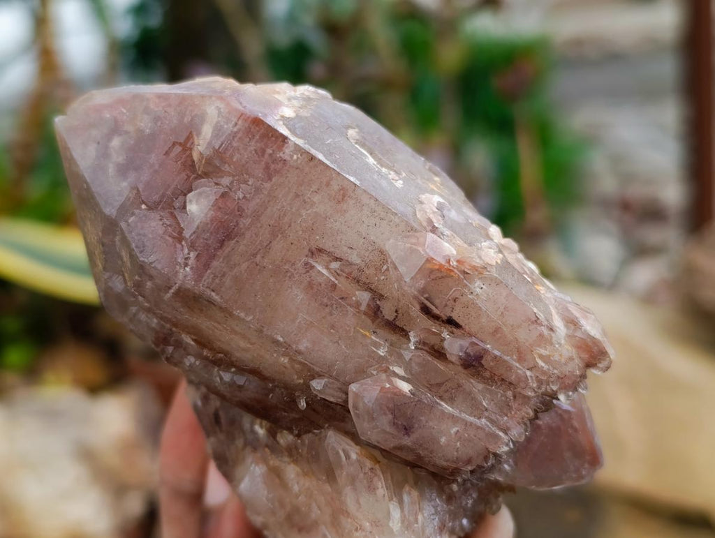 Natural Red Hematoid Quartz Crystal Clusters x 6 From Karoi, Zimbabwe