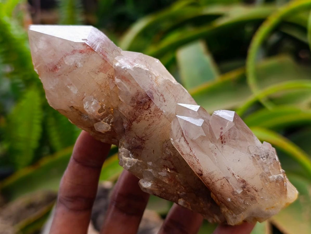 Natural Red Hematoid Quartz Crystal Clusters x 6 From Karoi, Zimbabwe