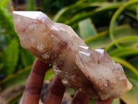 Natural Red Hematoid Quartz Crystal Clusters x 6 From Karoi, Zimbabwe