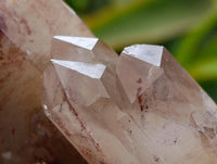 Natural Red Hematoid Quartz Crystal Clusters x 6 From Karoi, Zimbabwe