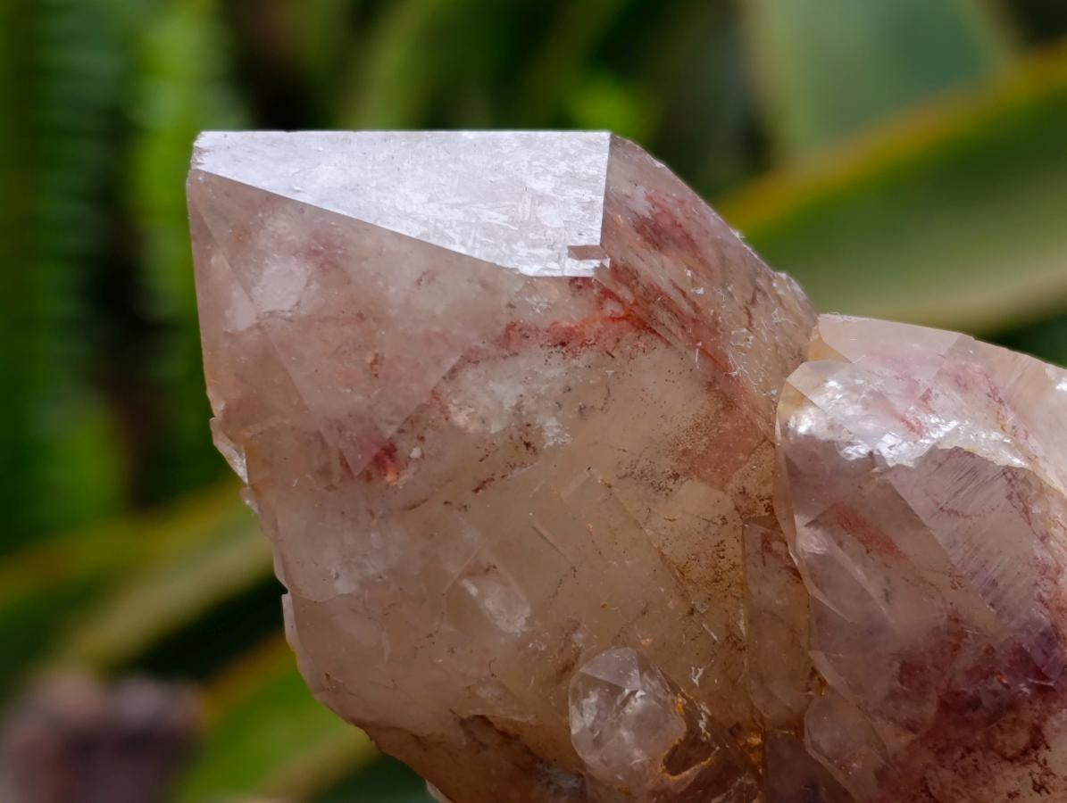 Natural Red Hematoid Quartz Crystal Clusters x 6 From Karoi, Zimbabwe