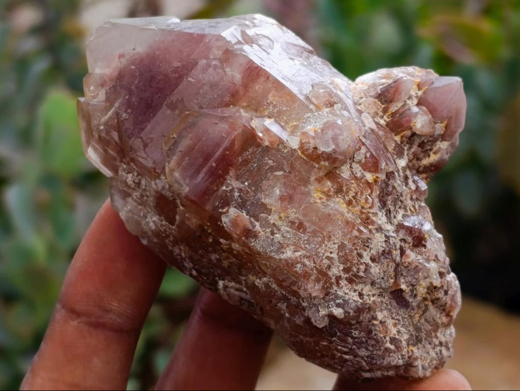 Natural Red Hematoid Quartz Crystal Clusters x 6 From Karoi, Zimbabwe