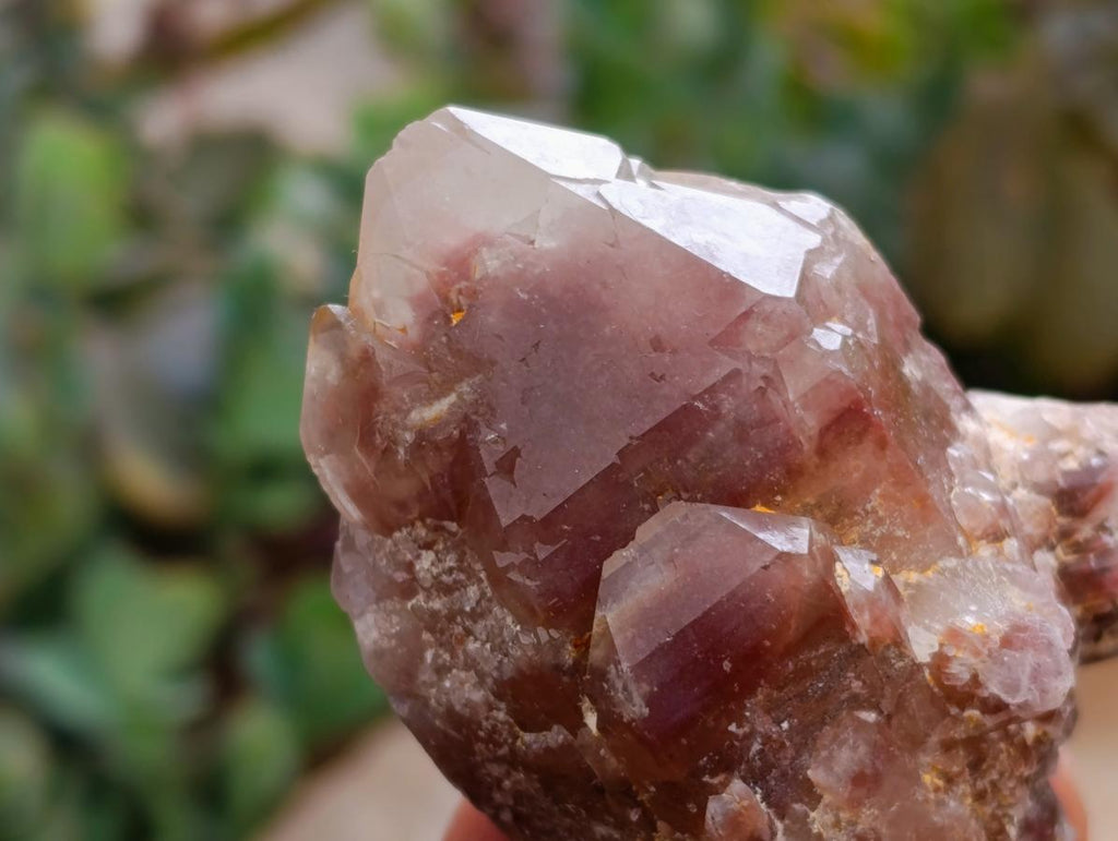 Natural Red Hematoid Quartz Crystal Clusters x 6 From Karoi, Zimbabwe