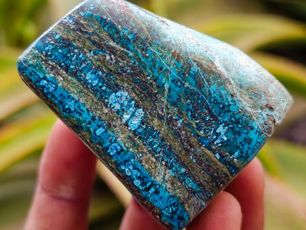 Polished Shattuckite with Chrysocolla Free Forms x 6 From Koakoveld, Namibia