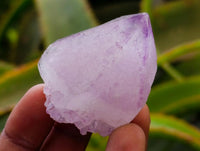 Natural Amethyst Spirit Crystals x 12 From Boekenhouthoek, South Africa