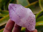 Natural Amethyst Spirit Crystals x 12 From Boekenhouthoek, South Africa