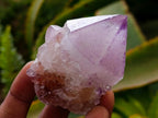 Natural Amethyst Spirit Crystals x 12 From Boekenhouthoek, South Africa