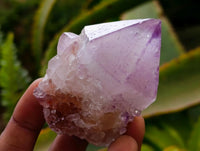 Natural Amethyst Spirit Crystals x 12 From Boekenhouthoek, South Africa