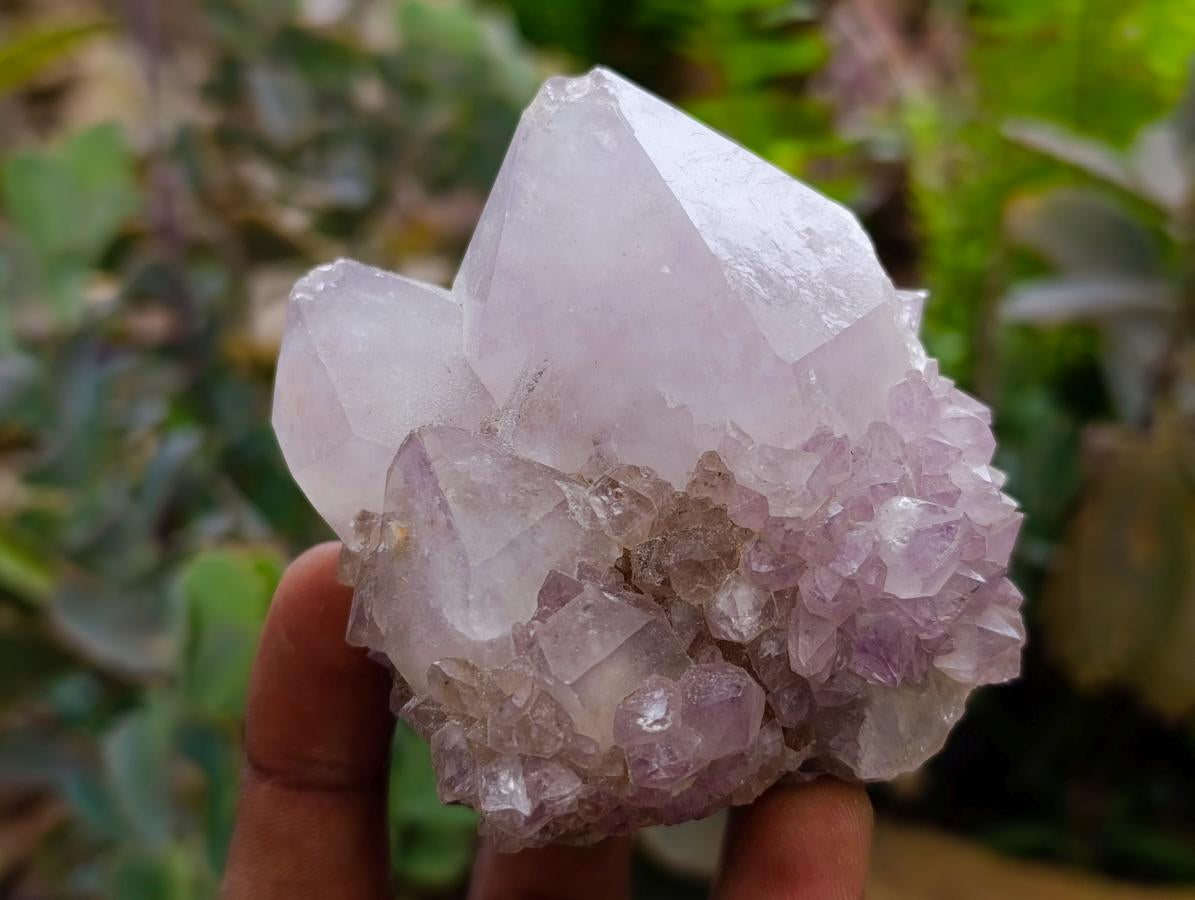 Natural Amethyst Spirit Crystals x 12 From Boekenhouthoek, South Africa