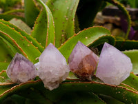 Natural Amethyst Spirit Crystals x 12 From Boekenhouthoek, South Africa