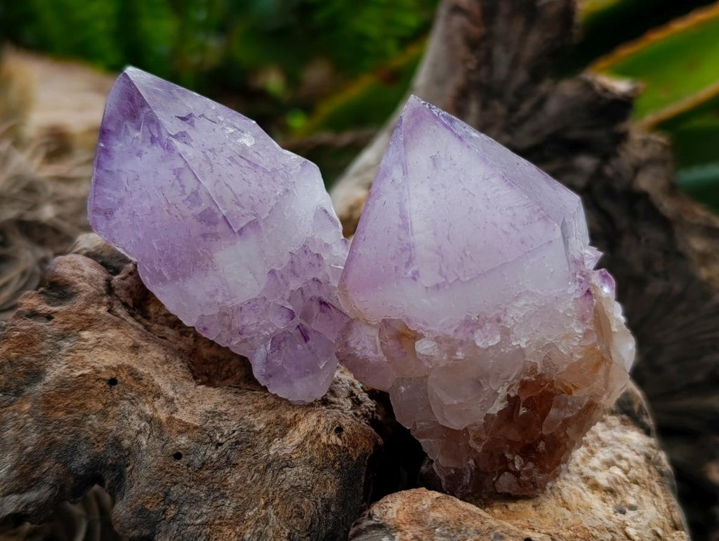 Natural Amethyst Spirit Crystals x 12 From Boekenhouthoek, South Africa