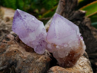 Natural Amethyst Spirit Crystals x 12 From Boekenhouthoek, South Africa
