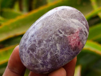 Polished Lepidolite Galets x 20 From Ambatondrazaka, Madagascar
