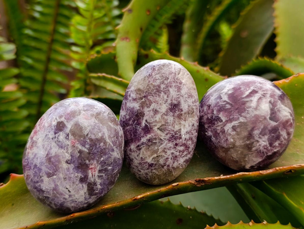 Polished Lepidolite Galets x 20 From Ambatondrazaka, Madagascar
