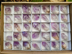 Natural Jacaranda Amethyst Single Crystals x 35 From Mumbwa, Zambia
