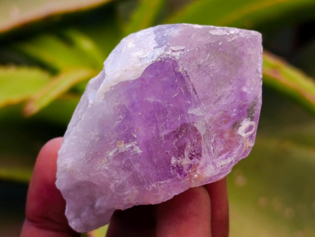 Natural Jacaranda Amethyst Single Crystals x 35 From Mumbwa, Zambia