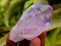 Natural Jacaranda Amethyst Single Crystals x 35 From Mumbwa, Zambia