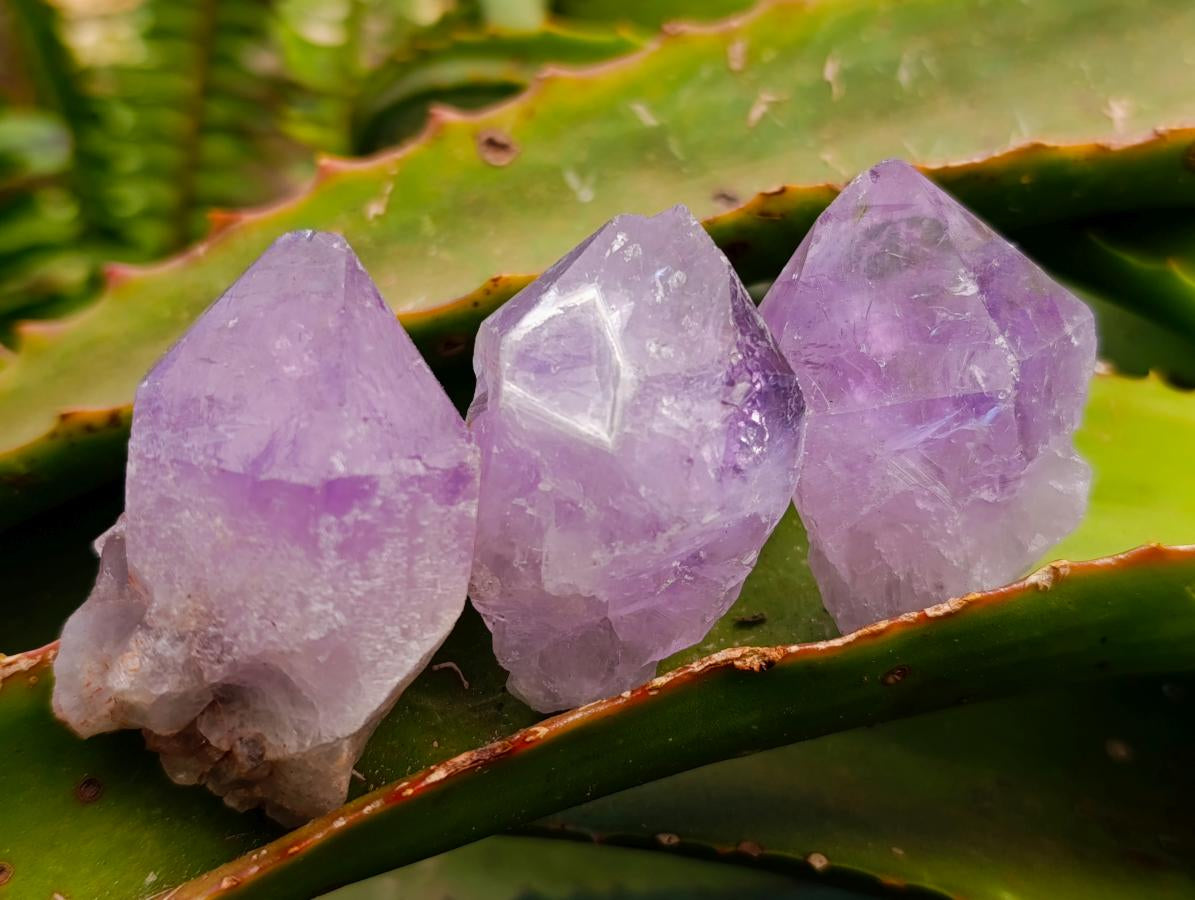 Natural Jacaranda Amethyst Single Crystals x 35 From Mumbwa, Zambia