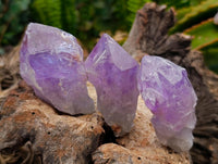 Natural Jacaranda Amethyst Single Crystals x 35 From Mumbwa, Zambia