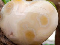 Polished Banded Agate Hearts x 3 From Madagascar