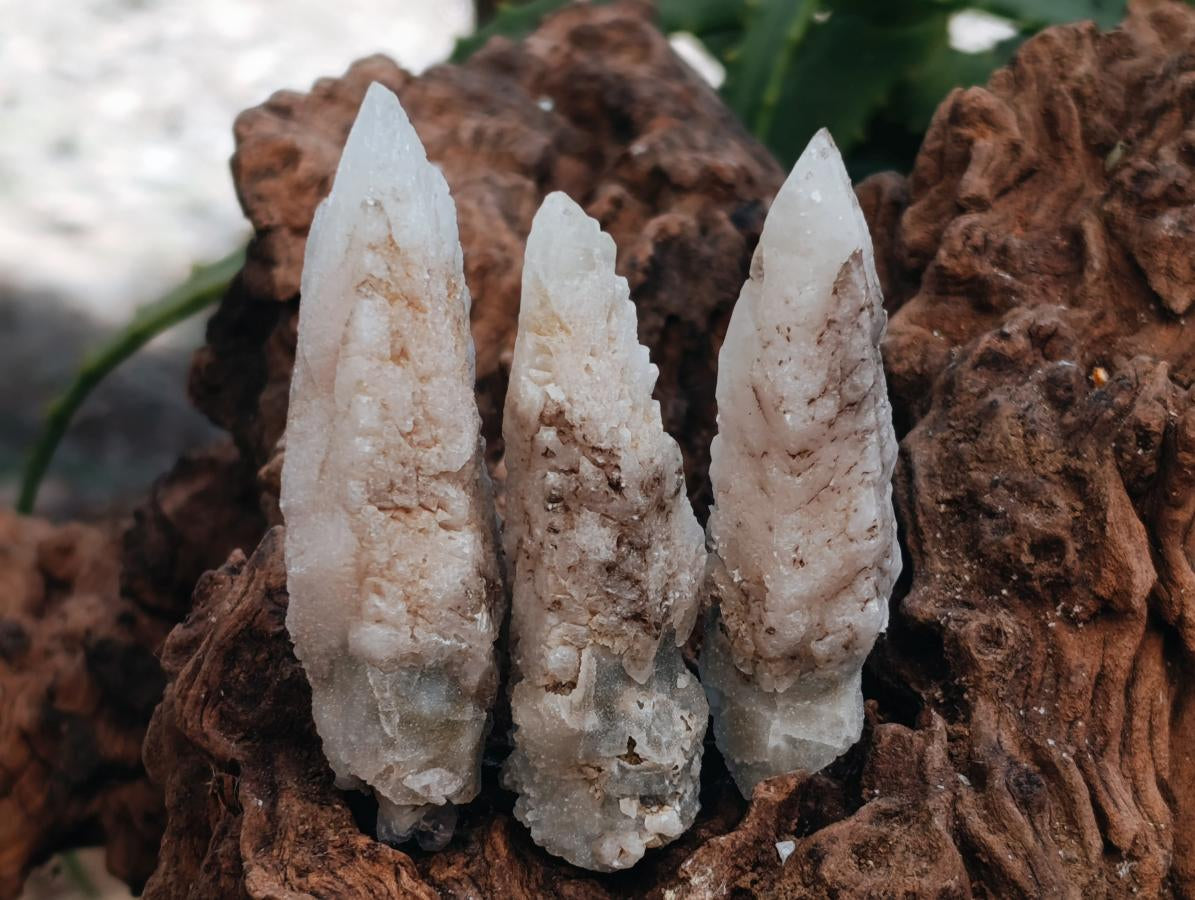 Natural Drusy Quartz Coated Spearhead Calcite Specimens x 35 From Albert's Mountain, Lesotho