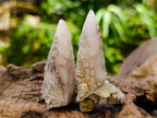 Natural Drusy Quartz Coated Spearhead Calcite Specimens x 35 From Albert's Mountain, Lesotho