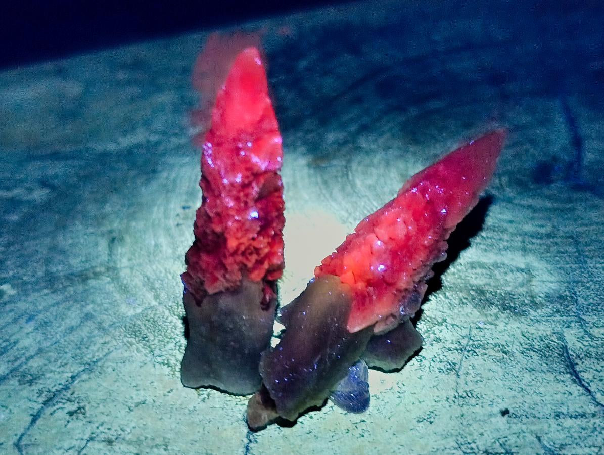 Natural Drusy Quartz Coated Spearhead Calcite Specimens x 35 From Albert's Mountain, Lesotho