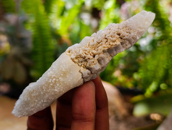 Natural Drusy Quartz Coated Spearhead Calcite Specimens x 35 From Albert's Mountain, Lesotho